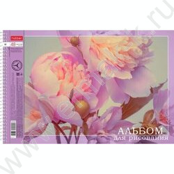 Альбом д/рисования-спираль 48л "Я художник, я так вижу" /перфорация / 4вида | Фото 3