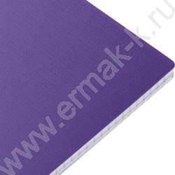 Тетрадь  80л А4 клетка/спираль/пластик.обл./многоуров.перфорация/ "CANVAS  Фиолетовая" | Фото 2