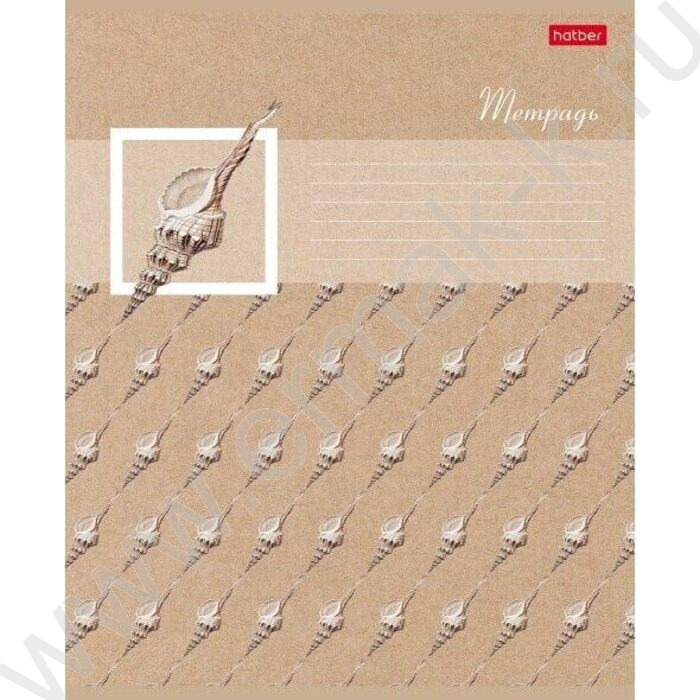 Тетрадь  18л клетка "Жемчужные ракушки" 5видов | Фото 4