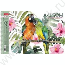 Альбом д/рисования-спираль 40л "Ассорти"  Выпуск №3 /перфорация/ 4вида | Фото 2