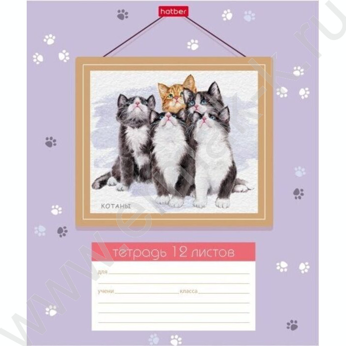 Тетрадь  12л линейка "Котаны" 5видов | Фото 3