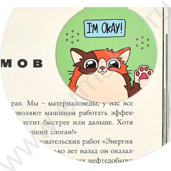 Закладки магнитные "Два кота" 3шт | Фото 5