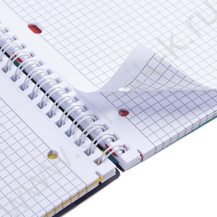 Тетрадь  96л А4 клетка/спираль с фигурной высечкой/перфорация на отрыв/пл.обл./4цв.разделителя с | Фото 6