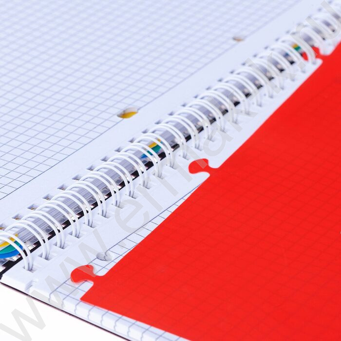 Тетрадь  96л А4 клетка/спираль с фигурной высечкой/перфорация на отрыв/пл.обл./4цв.разделителя с | Фото 6