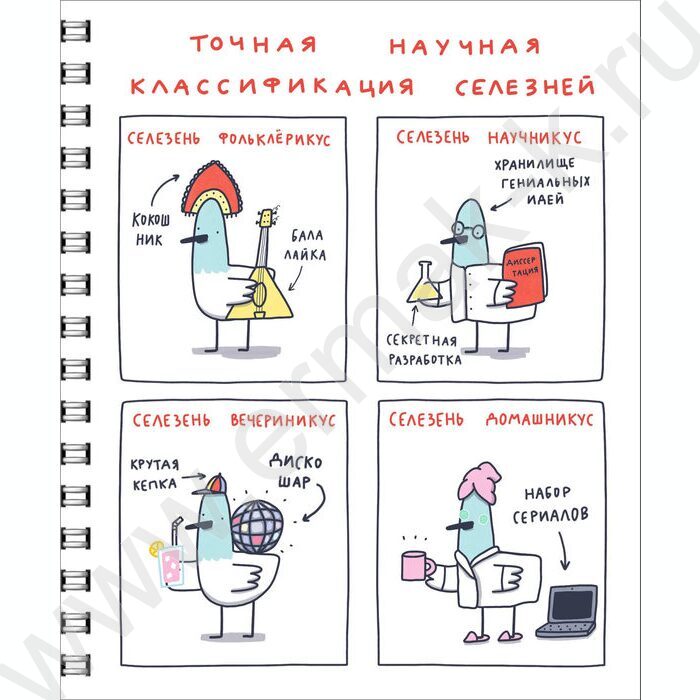 Тетрадь  96л клетка/спираль "Истории о селезне" 5видов /твин-лак/ | Фото 2
