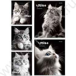 Тетрадь  48л клетка "Чёрно-белые котики" ассорти | Фото 1