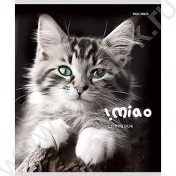 Тетрадь  48л клетка "Чёрно-белые котики" ассорти | Фото 2
