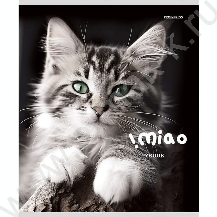 Тетрадь  48л клетка "Чёрно-белые котики" ассорти | Фото 2