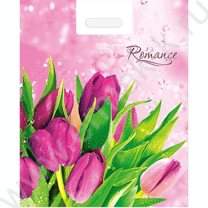 Пакет полиэтиленовый вырубной 41*51см Romance | Фото 1
