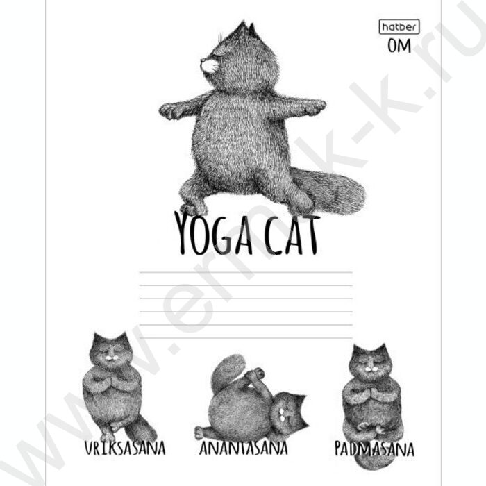 Тетрадь  24л линейка "Animals Yoga" 5видов | Фото 2