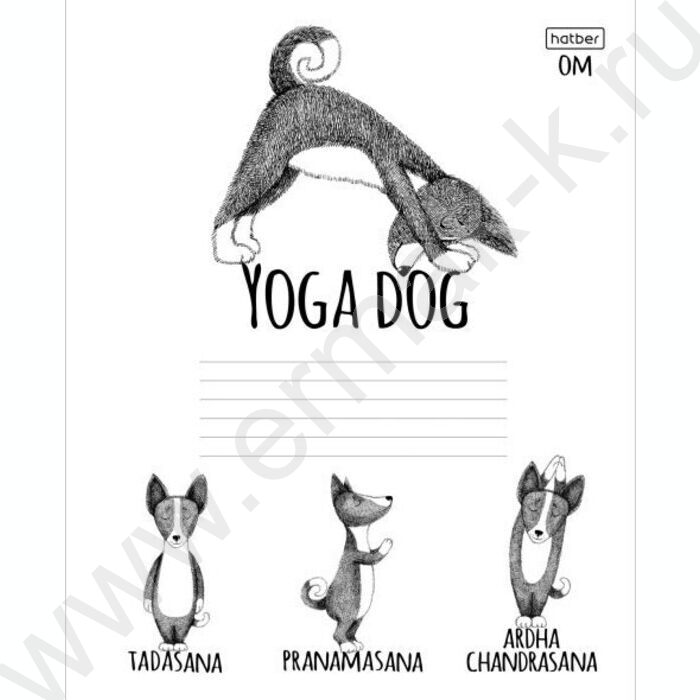 Тетрадь  24л линейка "Animals Yoga" 5видов | Фото 4