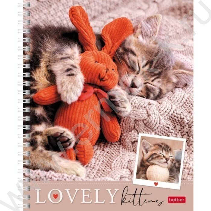 Тетрадь  48л линейка/спираль "Мяу-Котики" 4вида | Фото 2