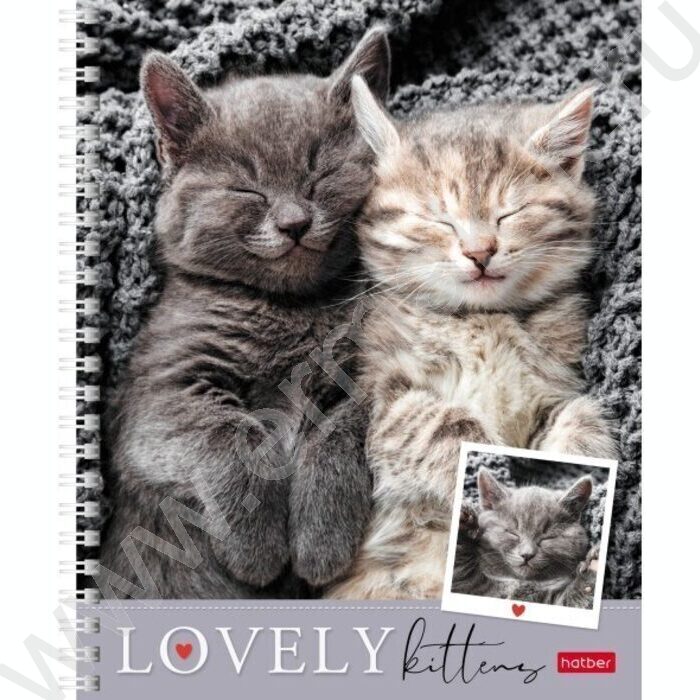 Тетрадь  48л линейка/спираль "Мяу-Котики" 4вида | Фото 4