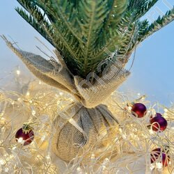 Ель 50см. NEW | Фото 3