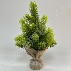 Сосна 25см. NEW | Фото 1