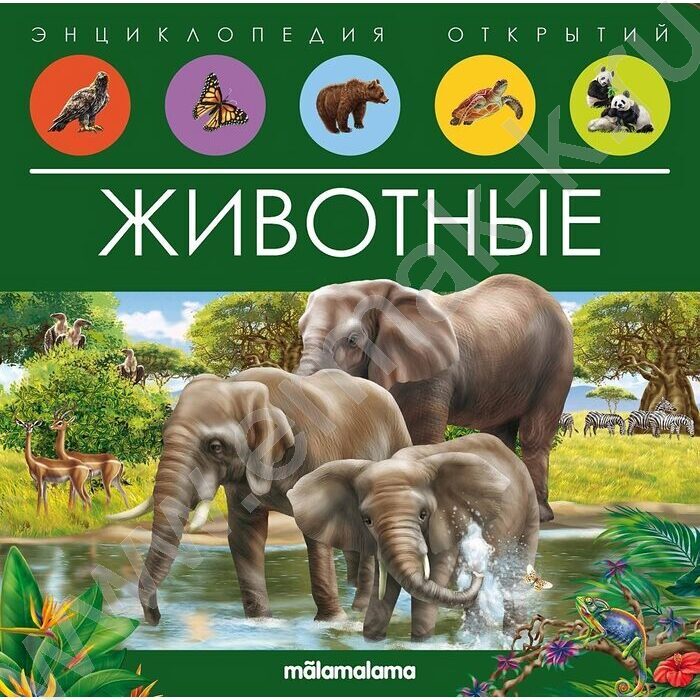 Энциклопедия открытий. Животные | Фото 1