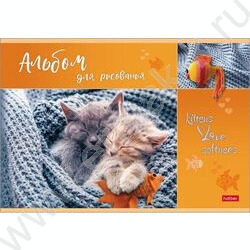 Альбом д/рисования 16л "Мяу-Котики" 5видов | Фото 5