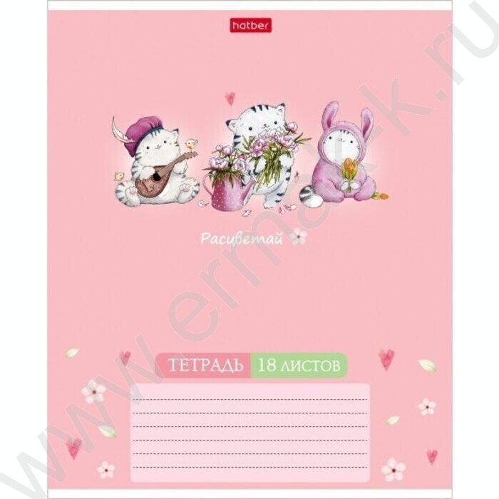 Тетрадь  18л клетка "Приключения кота Пирожка"  5видов | Фото 2