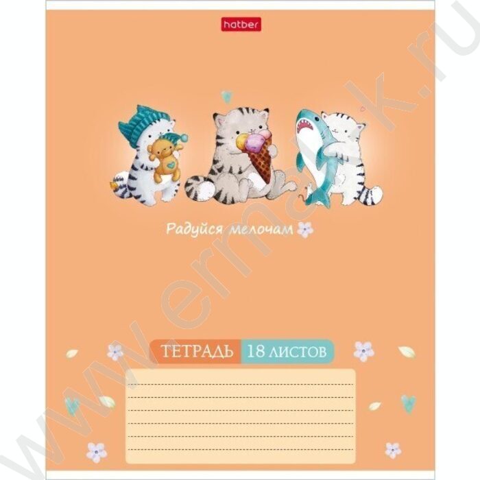 Тетрадь  18л клетка "Приключения кота Пирожка"  5видов | Фото 5