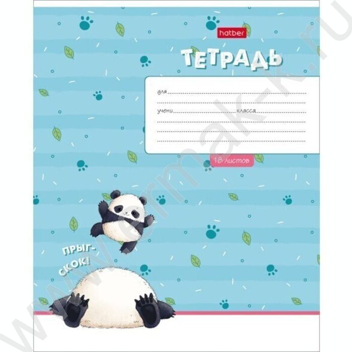 Тетрадь  18л клетка "Забавные панды"  5видов | Фото 2