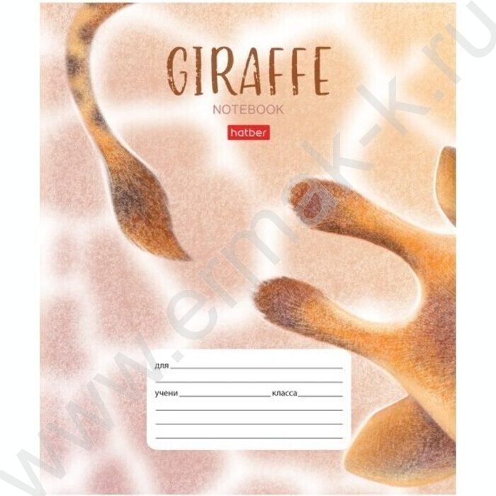 Тетрадь  18л клетка "Ассорти"  5видов | Фото 2