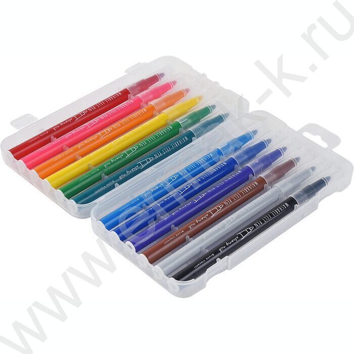 Фломастеры  12цв Easycolor пластиковый пенал | Фото 3