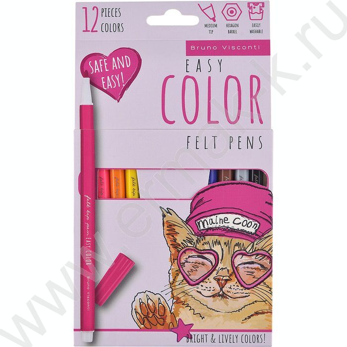 Фломастеры  12цв Easycolor к/кор | Фото 1