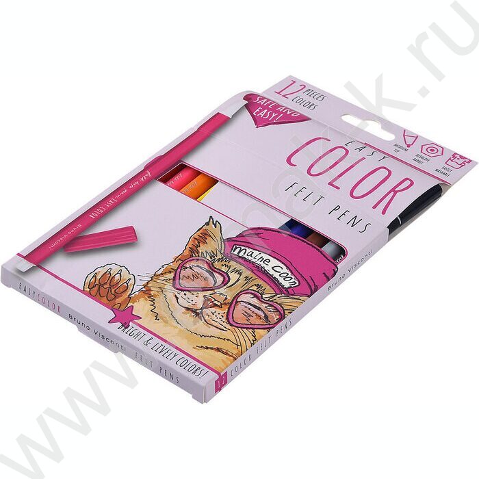 Фломастеры  12цв Easycolor к/кор | Фото 2