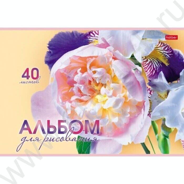 Альбом д/рисования 40л "Грация цветов"  5видов | Фото 3
