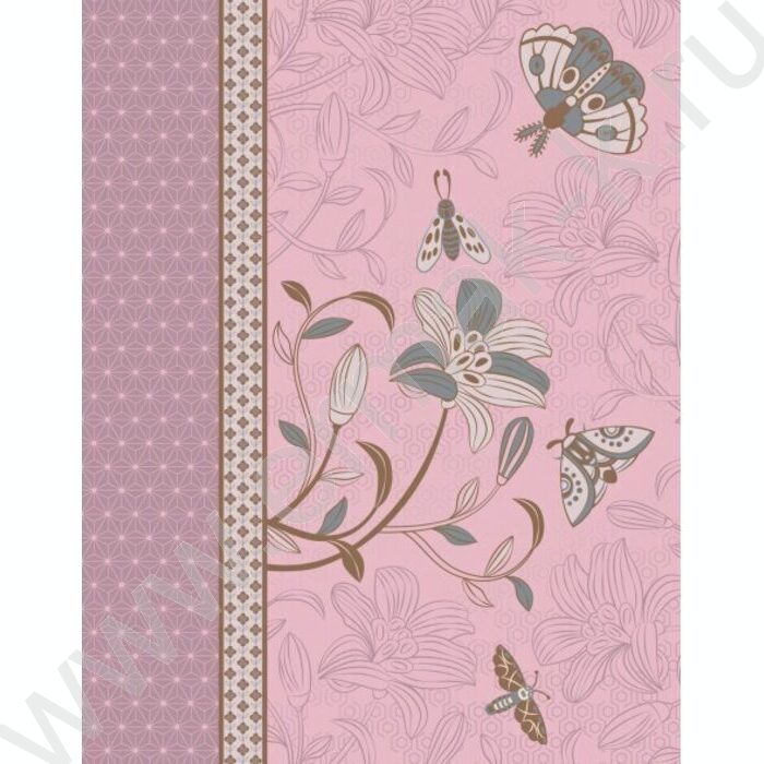 Тетрадь 160л клетка/кольца "Muse" /мат.лам. | Фото 1