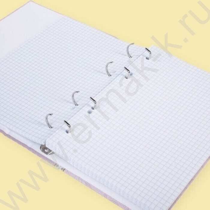 Тетрадь 160л клетка/кольца "Muse" /мат.лам. | Фото 2