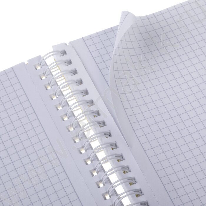 Тетрадь  96л А4 клетка/спираль/пл.обл./4цв.разделителя с линейкой LINE NEON Оранжевая | Фото 4