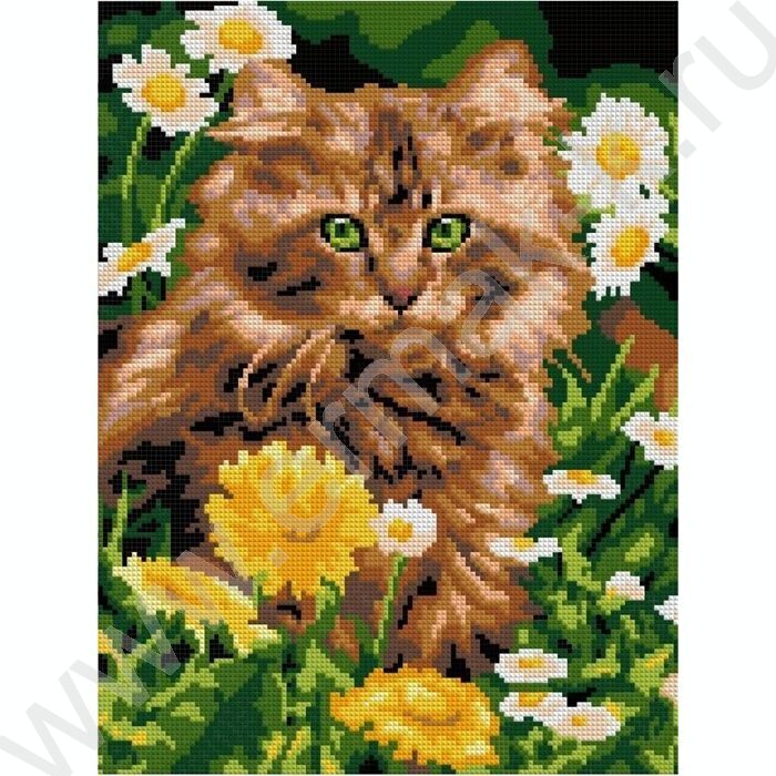 Мозаика алмазная 30*40см Котик в одуванчиках полное заполнение | Фото 1