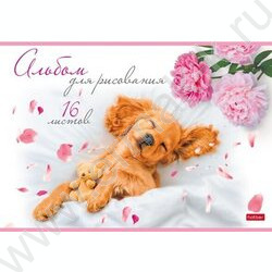 Альбом д/рисования 16л "Очаровательные щенки" ассорти | Фото 3
