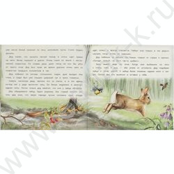Книжка Паустовский К.И.Рассказы о животных.Заячьи лапы | Фото 4