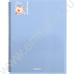 Папка  40 файлов Matt Pastel Bloom /ассорти /спираль | Фото 4