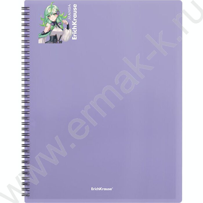 Папка  20 файлов Matt Manga /ассорти /спираль | Фото 3