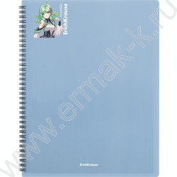 Папка  20 файлов Matt Manga /ассорти /спираль | Фото 6