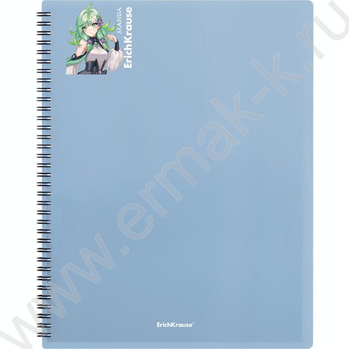 Папка  20 файлов Matt Manga /ассорти /спираль | Фото 6