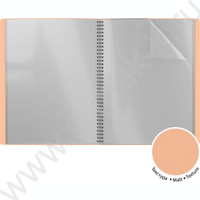 Папка  20 файлов Matt Pastel Bloom /ассорти /спираль | Фото 2