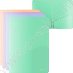 Папка уголок А4 Matt Pastel Bloomr, с 2 карманами /ассорти | Фото 1
