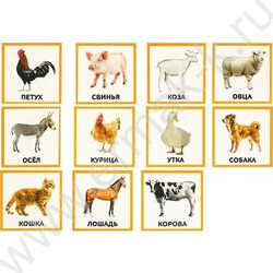 Развивающие карточки.Животные | Фото 4
