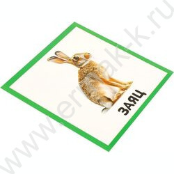 Развивающие карточки.Животные | Фото 6