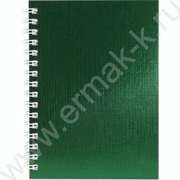Зап. книжка  80л А6 спираль/бумвинил Metallic Зеленая | Фото 1