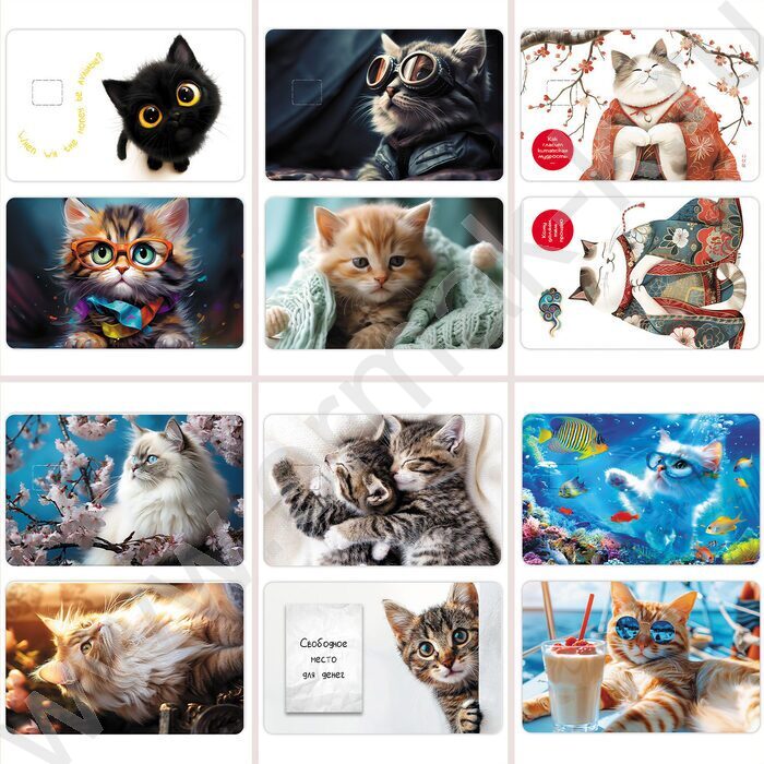 Наклейка на банковскую и транспортную карты с высечкой под чип "Ассорти" 48 дизайнов в блоке | Фото 1