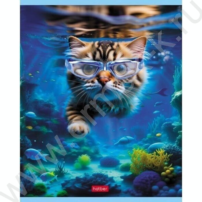 Тетрадь  40л клетка "Коты на релаксе" ассорти | Фото 3