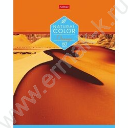 Тетрадь  60л клетка "Color" ассорти | Фото 1