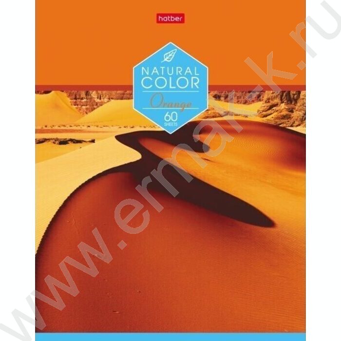 Тетрадь  60л клетка "Color" ассорти | Фото 1