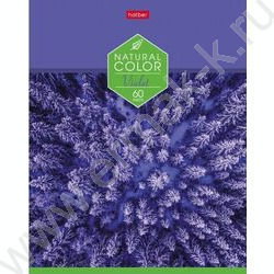 Тетрадь  60л клетка "Color" ассорти | Фото 4