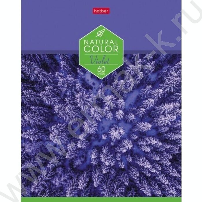 Тетрадь  60л клетка "Color" ассорти | Фото 4